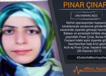 Pınar Çınar