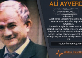 Ali Ayverdi