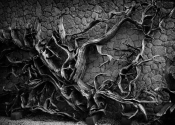 Yitip Giden Hayatlar