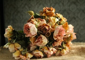 Engin Erol’un ardından