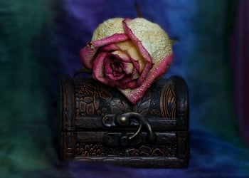 2019 zulümle biterken…| Bir yılın muhasebesi