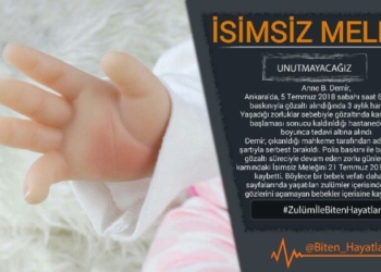 İsimsiz Melek ( Anne B. Demir’in bebeği)